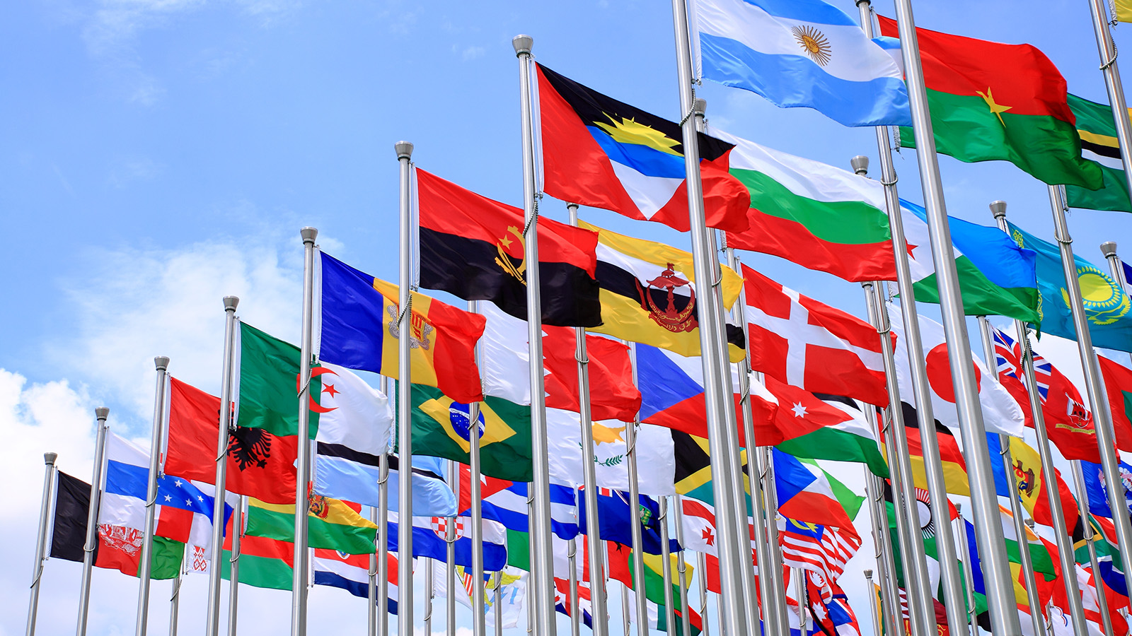 Photo of flags from around the world