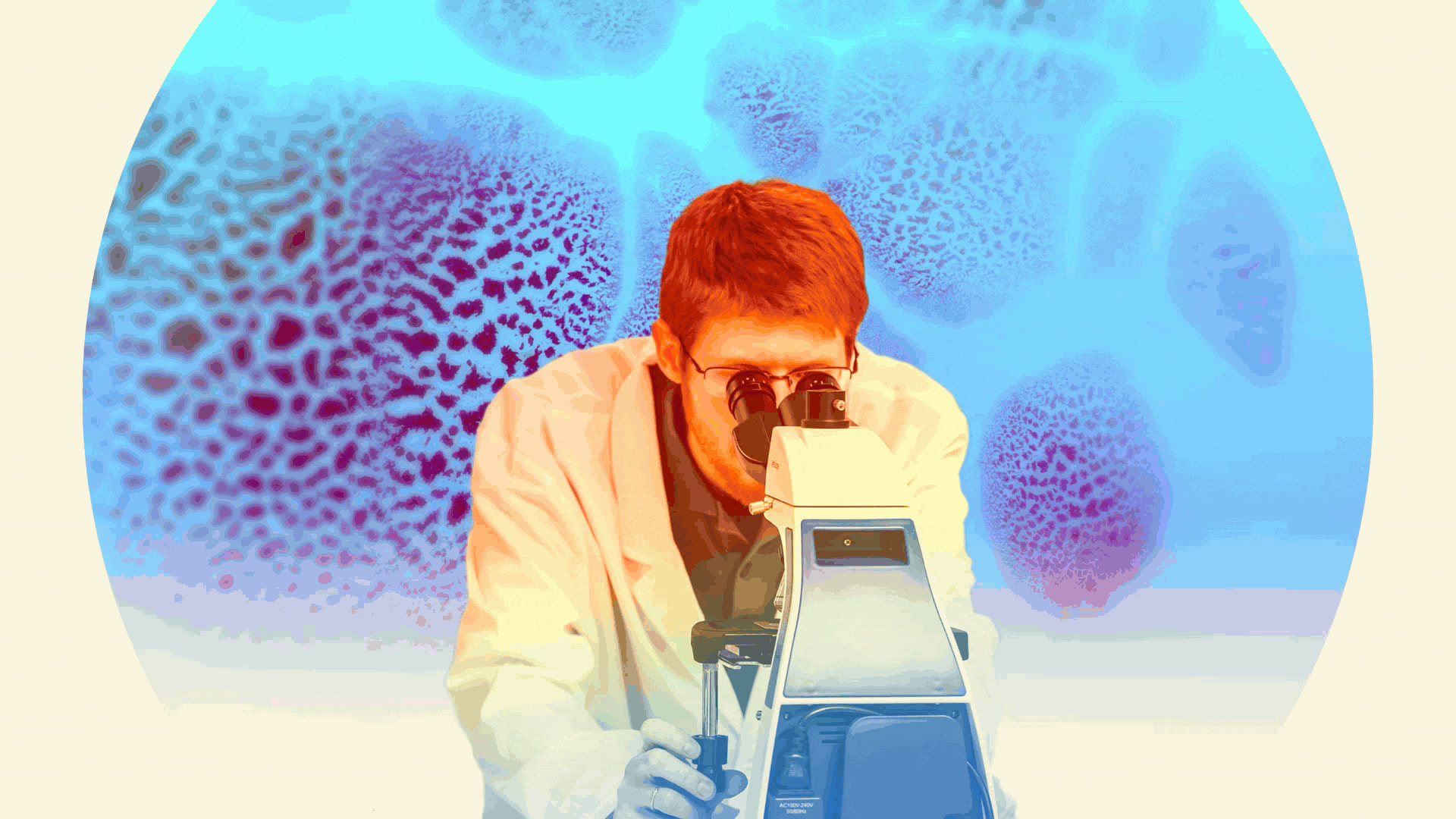 Jason Wallach looking into microscope with organisms behind him