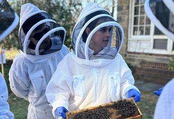 Four students in white beekeeper suits; one is holding a frame with bees and honeycomb