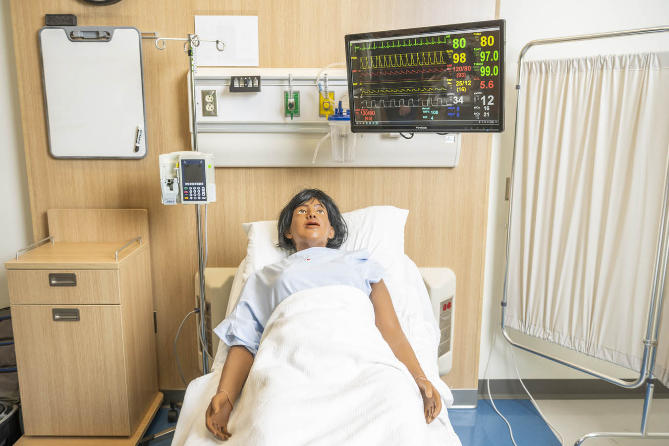 patient simulator of a adult