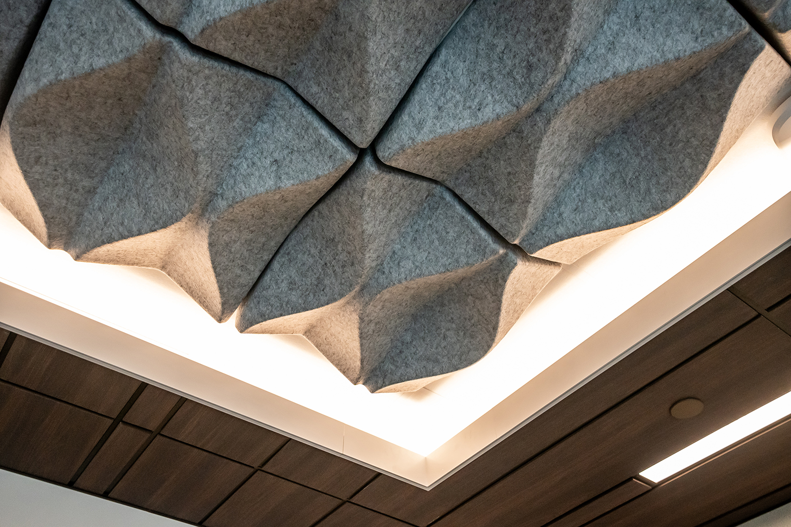 Detail shot of acoustic ceiling 