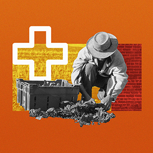 ICB homepage image