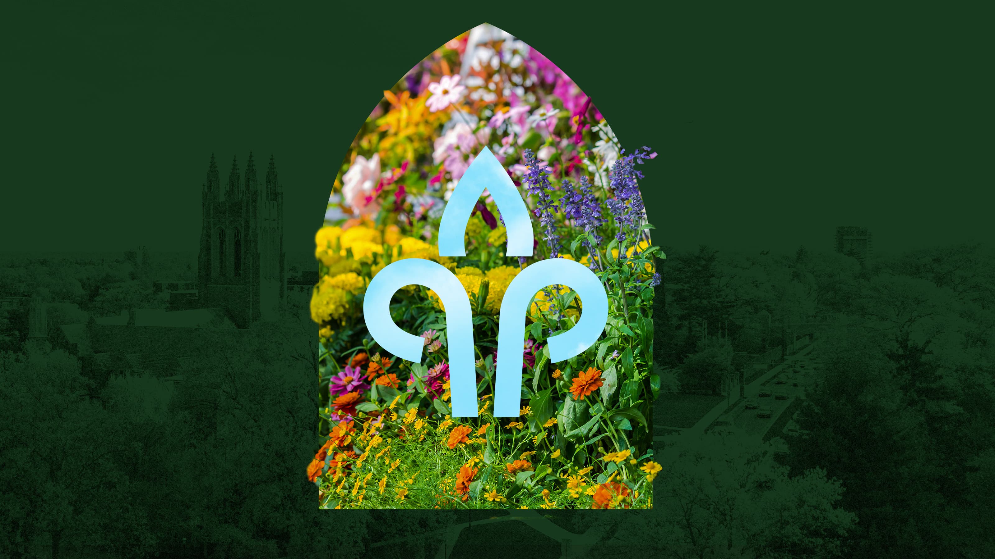 An illustration of a blue lily icon on a backdrop of colorful flowers