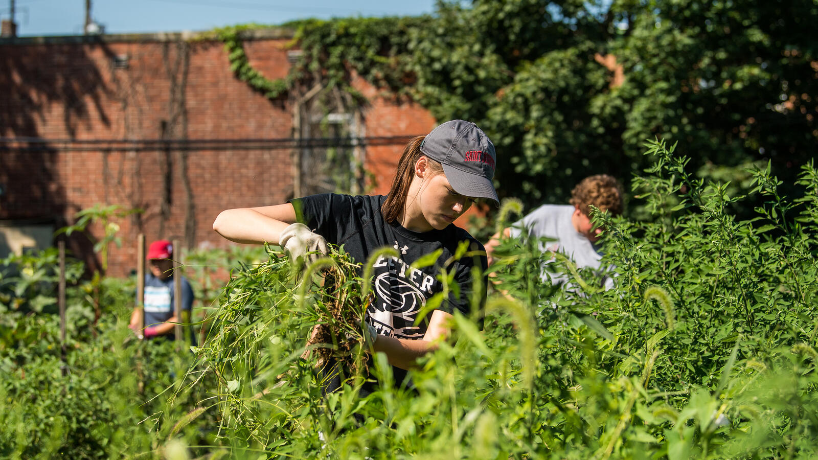 Student in a Saint Joseph's baseball cap working in a community garden