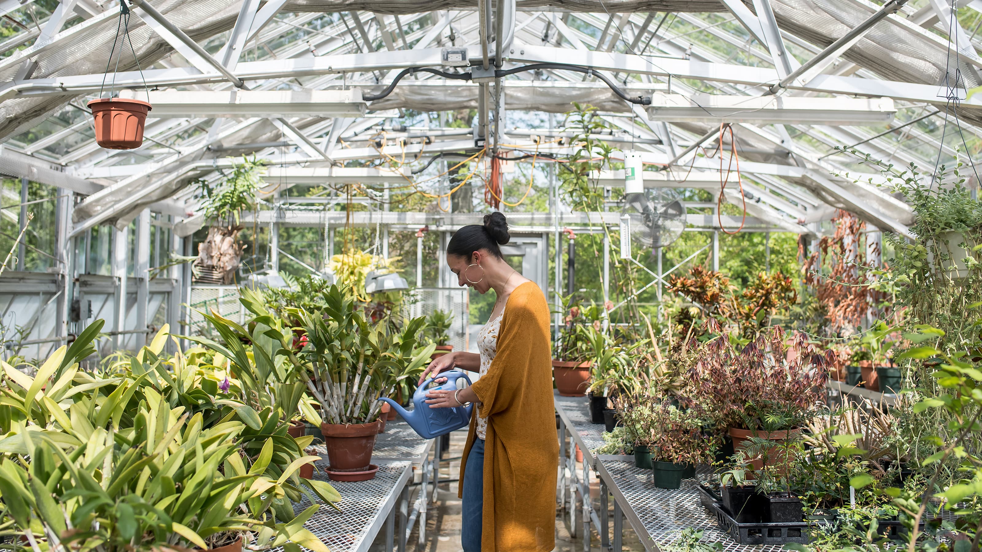 Woman watering plants in a greenhouse