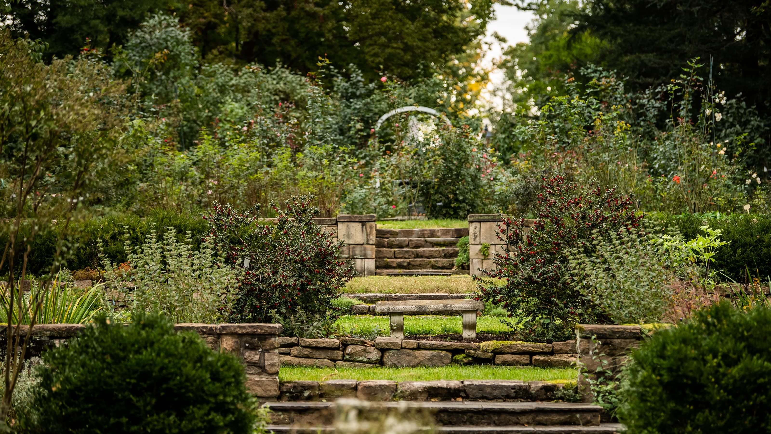 Barnes Arboretum sunken gardens