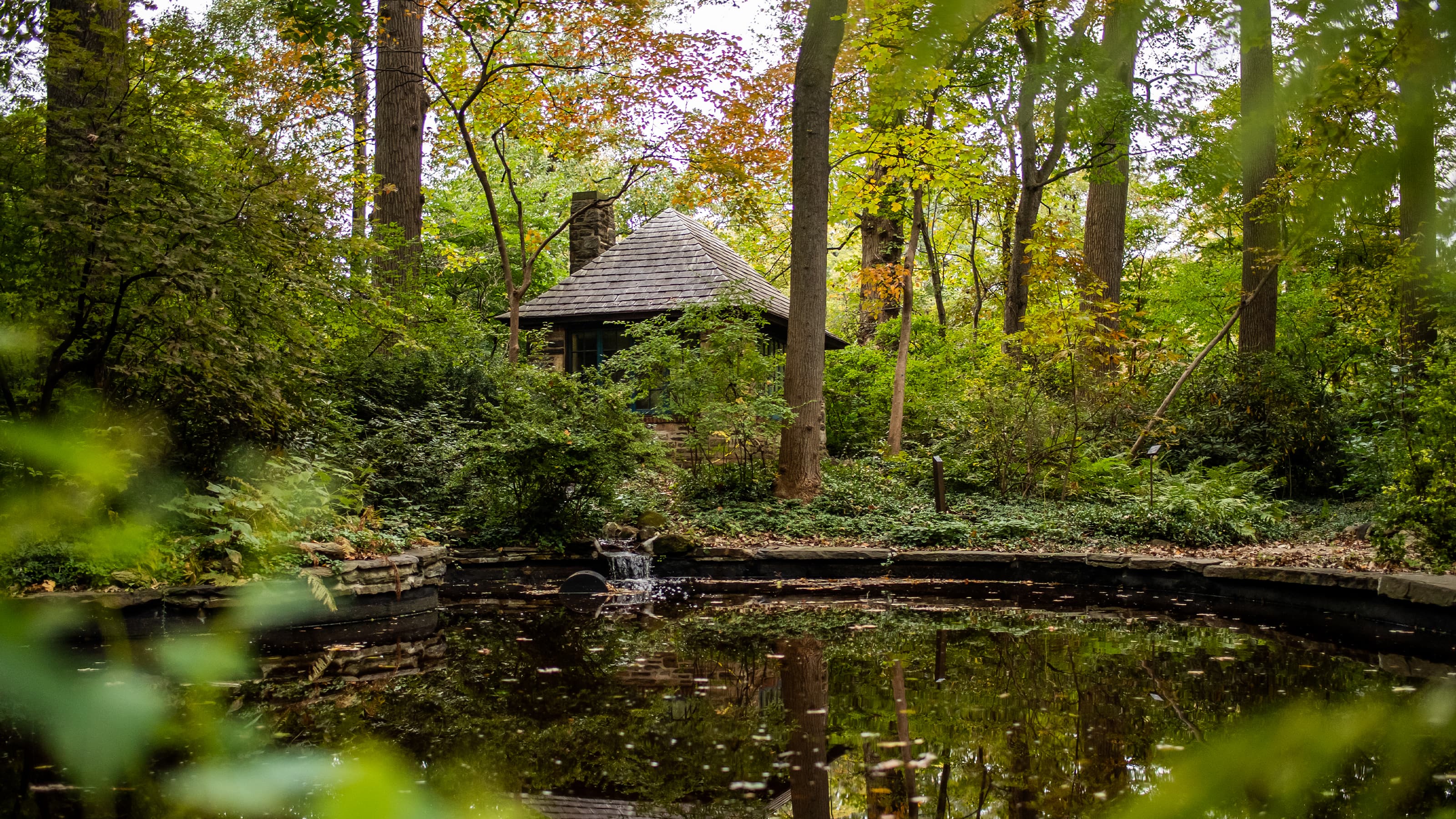 Pond at Barnes Arboretum