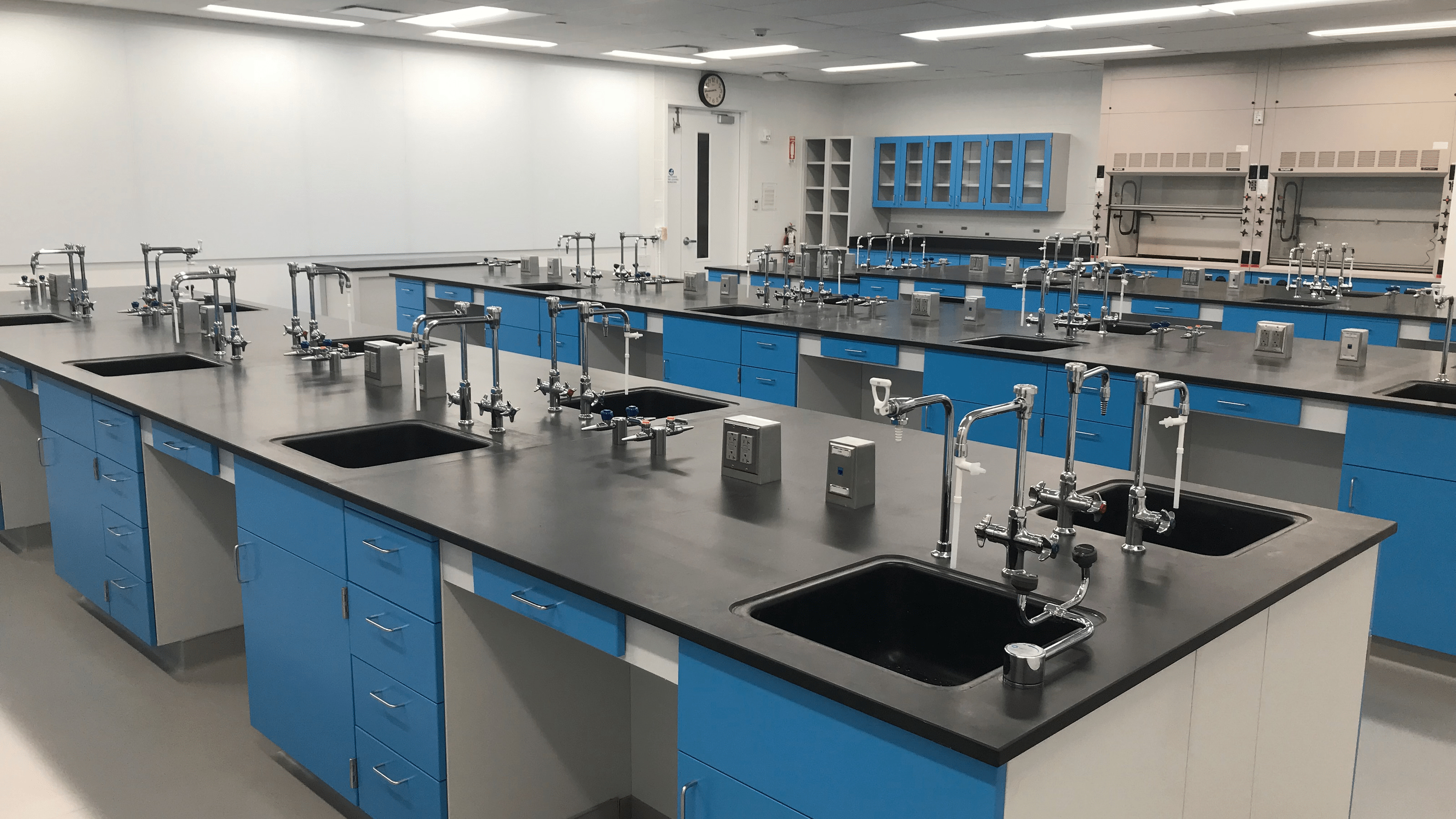Completed laboratory renovation in Science Center.