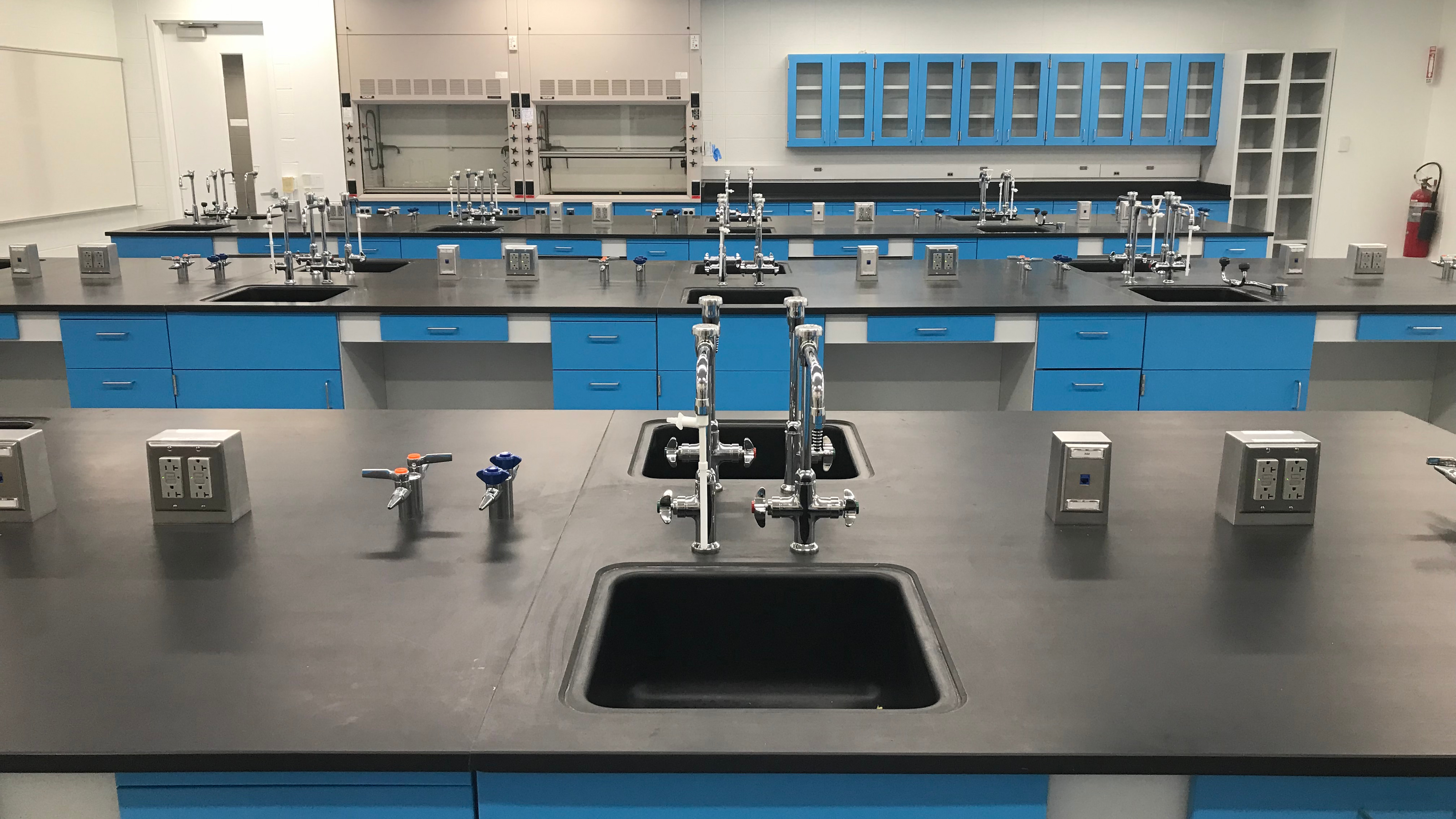 Completed laboratory renovation in Science Center.