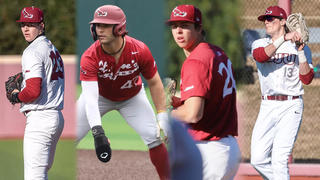 Matt McShane, Ryan Cesarini, Luke Gabrysh, and Ryan Picollo on baseball field