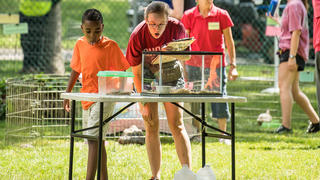 Bridget Cichon '20 works outside at Camp Kinney