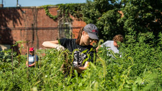 Saint Joseph's student doing service project in a garden