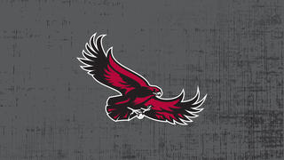 A photo of a gray background and the saint joseph's hawk in the center