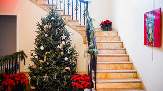 A decorated christmas tree next to a brown staircase