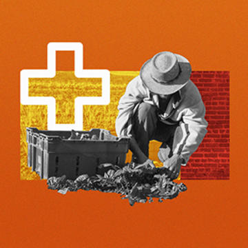 ICB homepage image