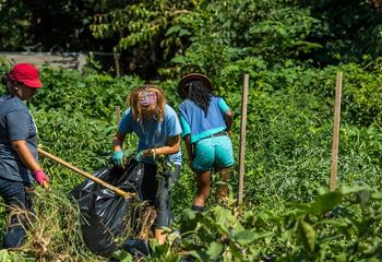 Three female college students working in a community garden