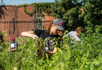 Saint Joseph's student doing service project in a garden