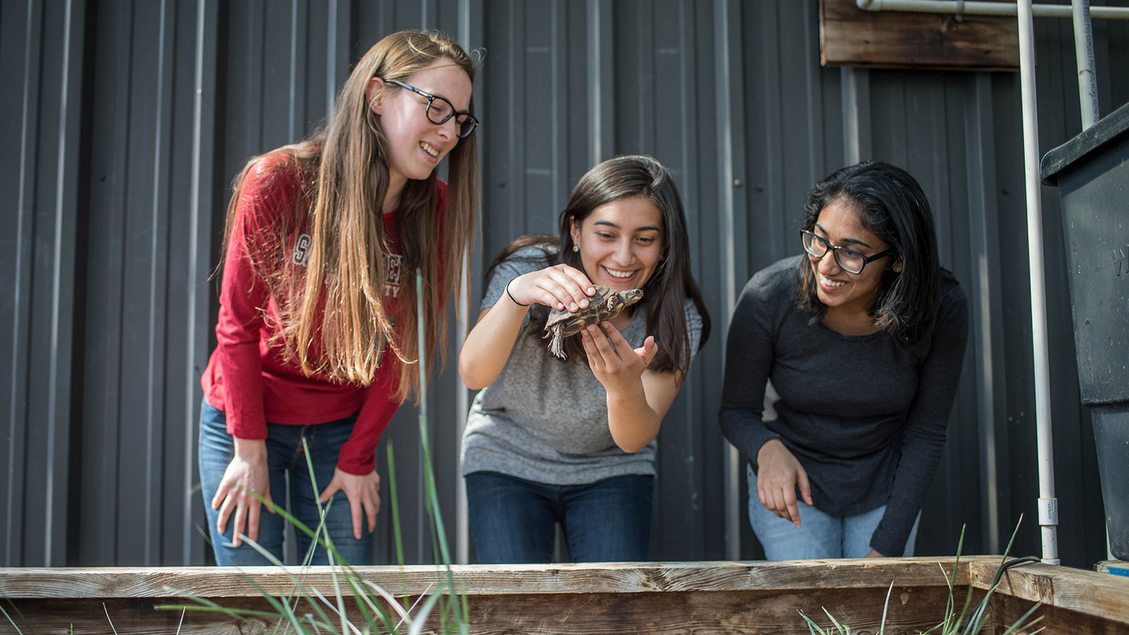 three SJU students with a turtle in the greenhouse