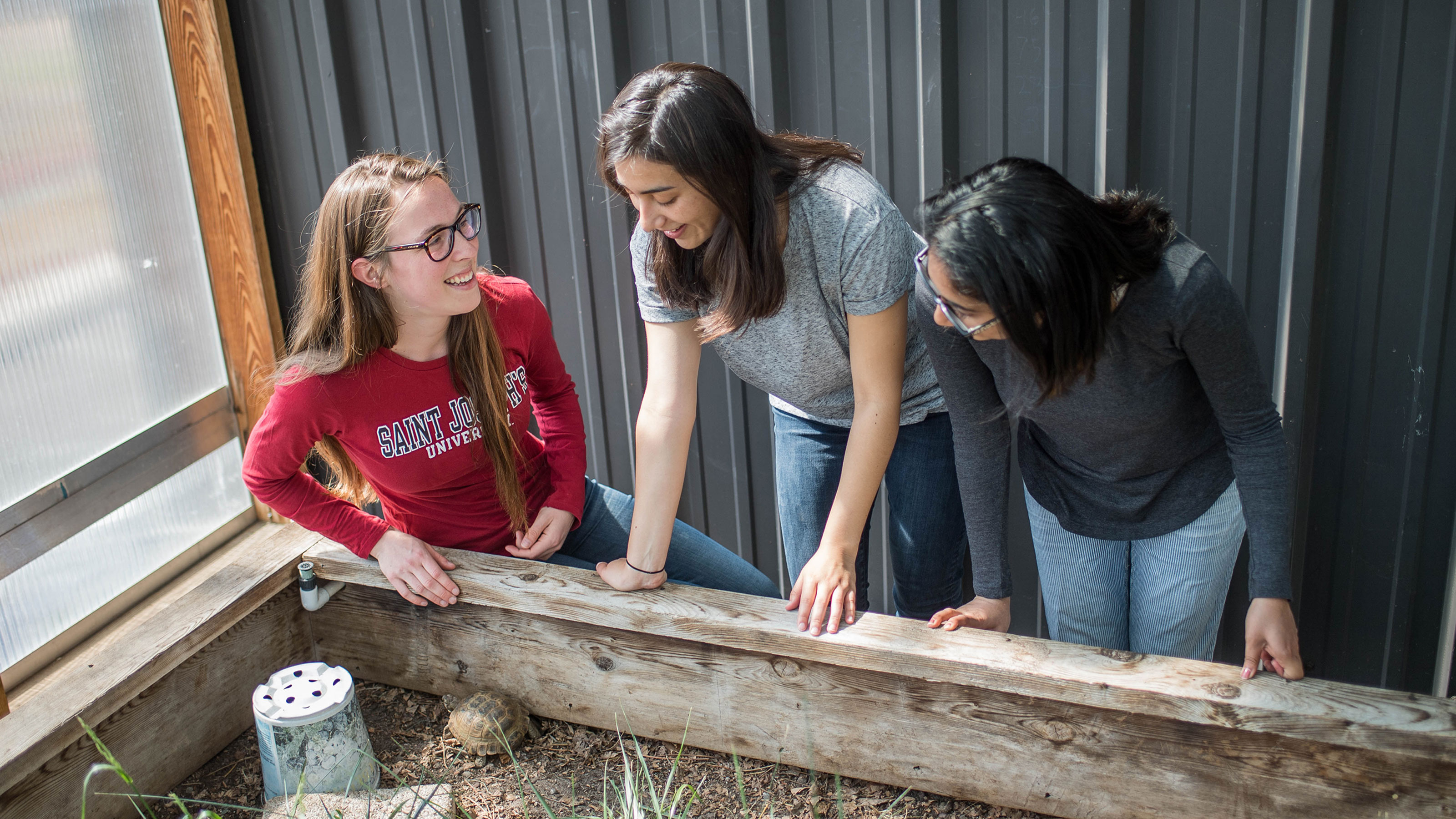 three students doing research in the greenhouse