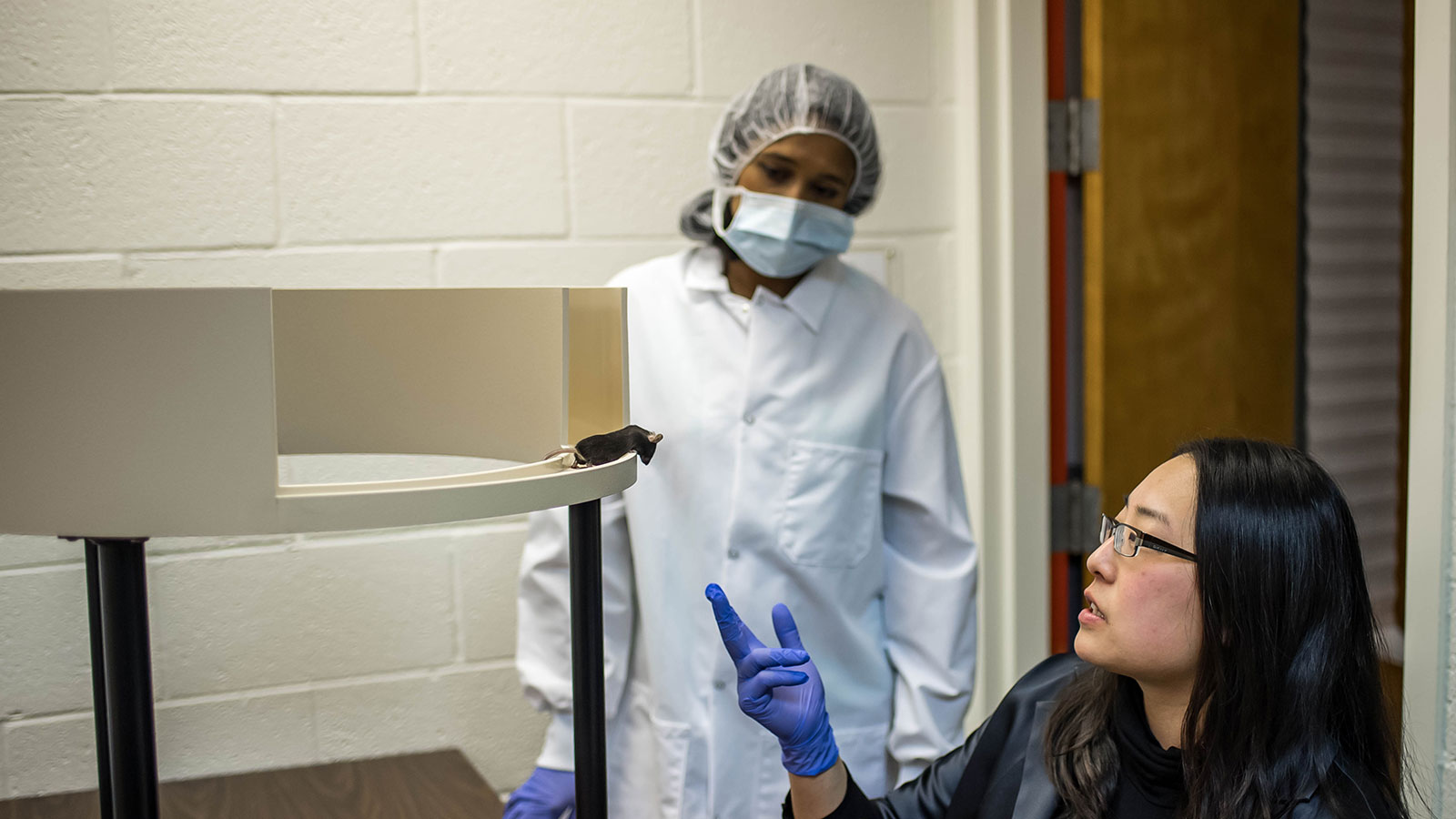 graduate student with professor conducting research on mouse