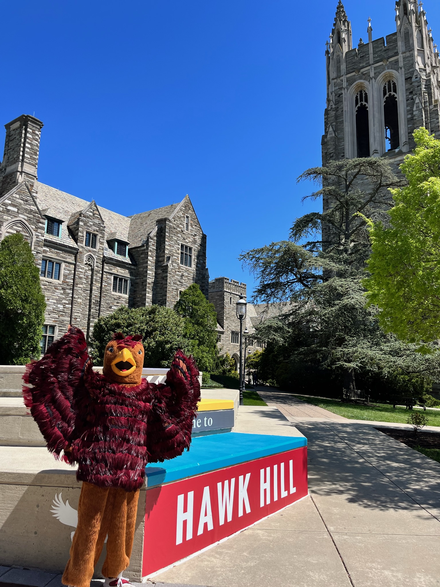 Hawk mascot in front of Barbelin Hall