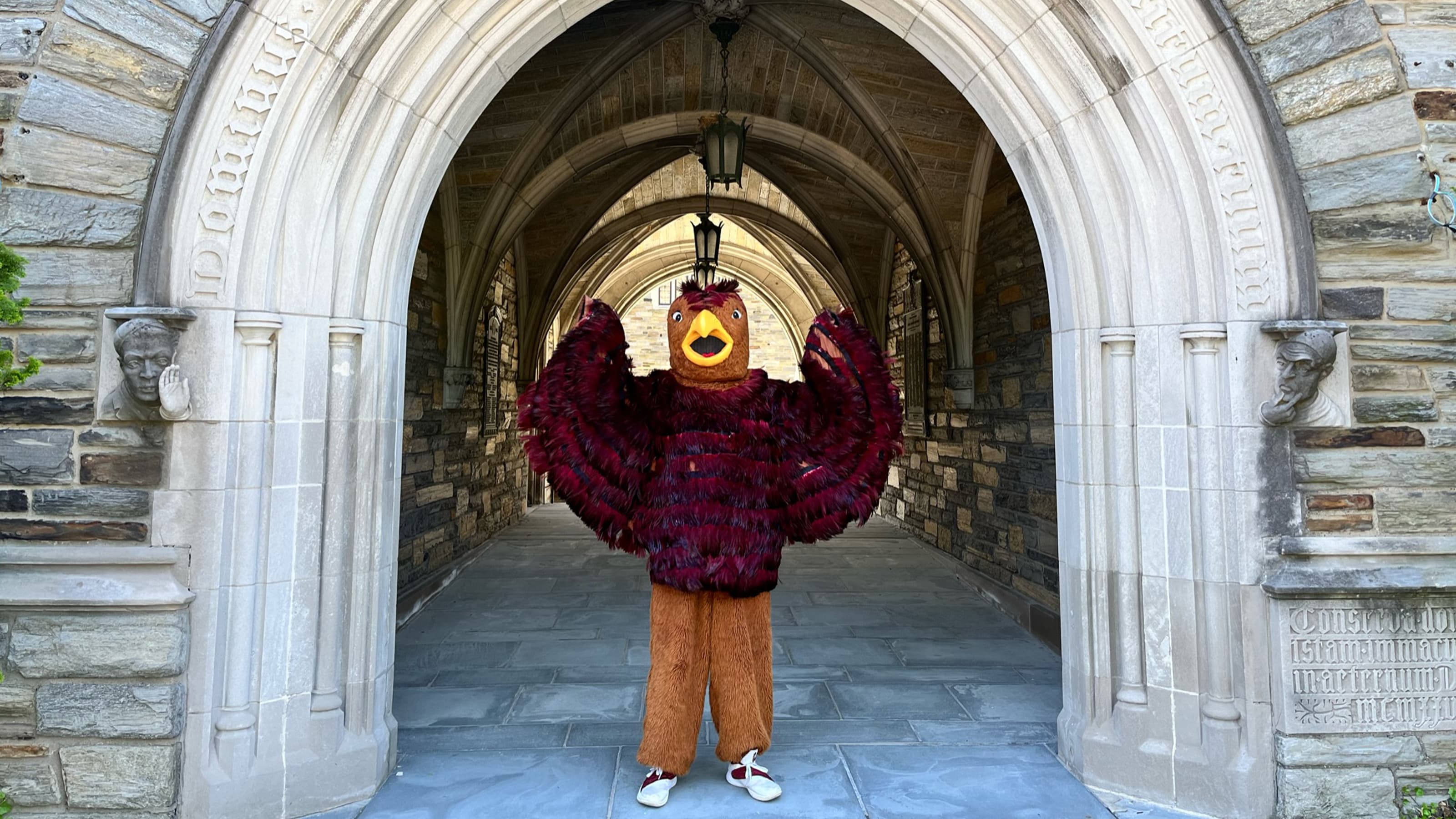 Hawk mascot at Barbelin Hall