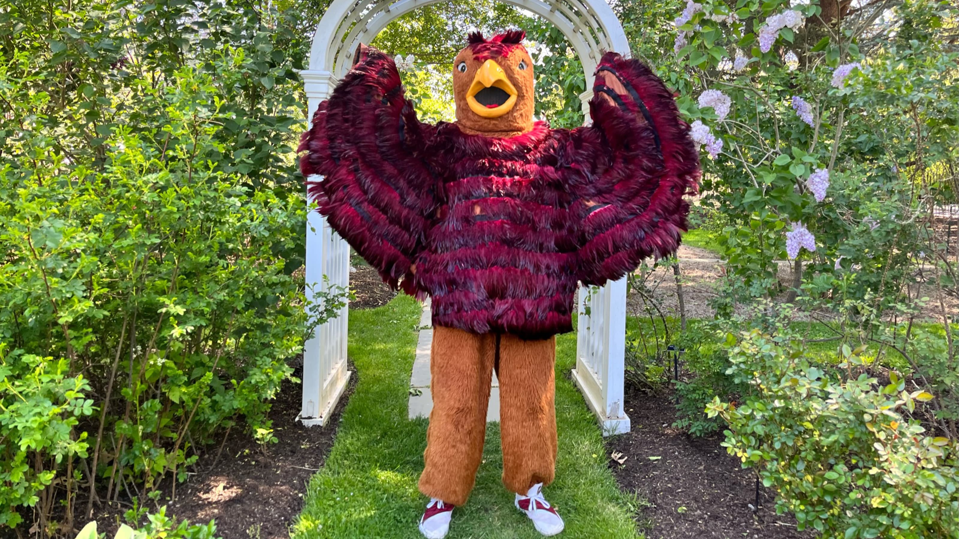 Hawk mascot at Barnes Arboretum