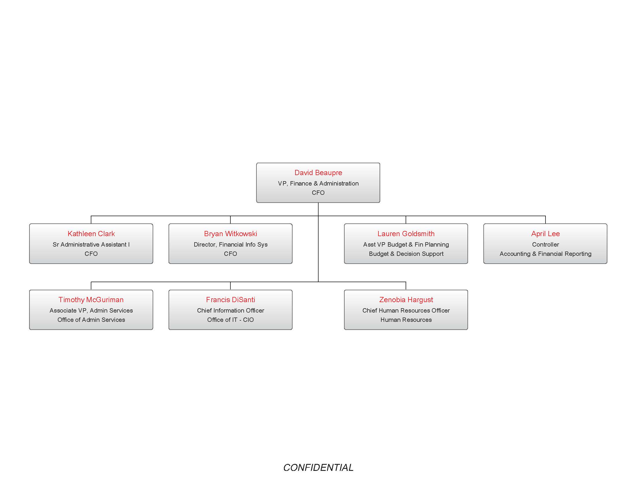 CFO Organization Chart