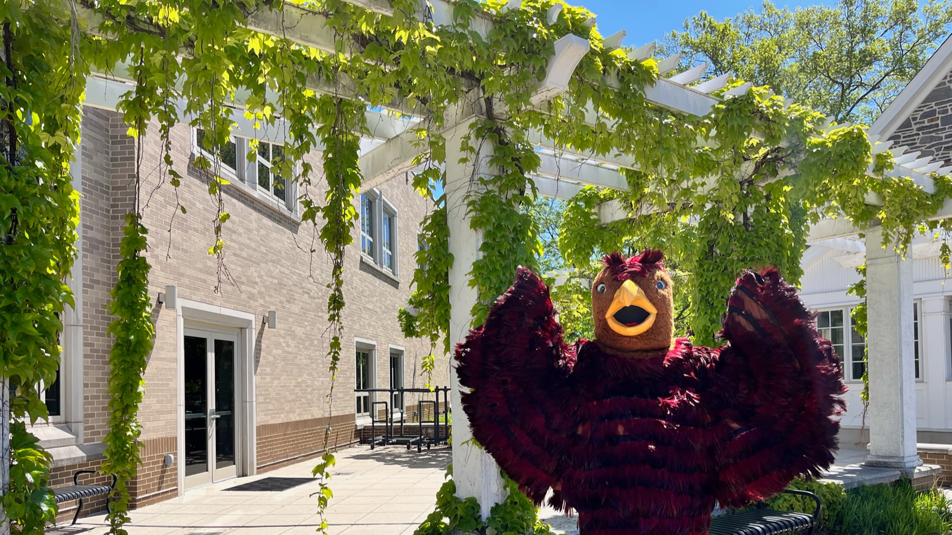 Hawk mascot in front of pergola