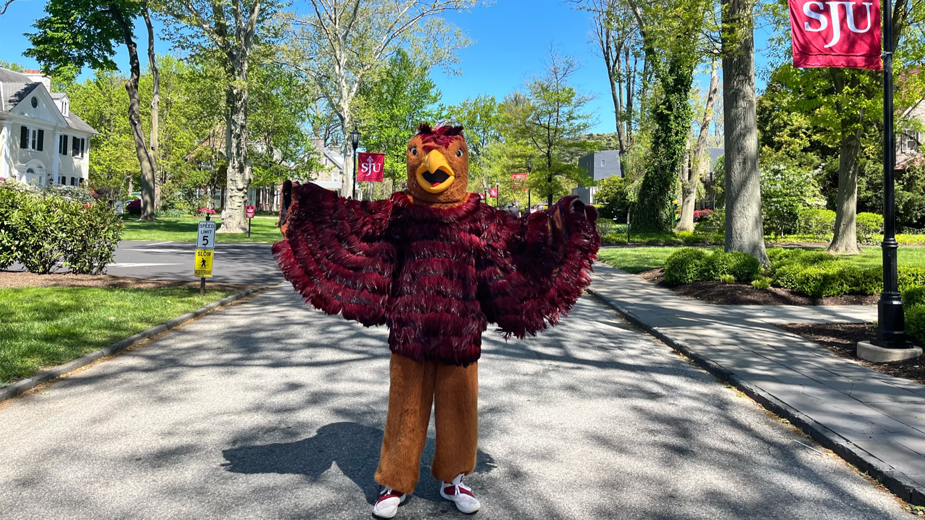 Hawk mascot on Lapsley Lane