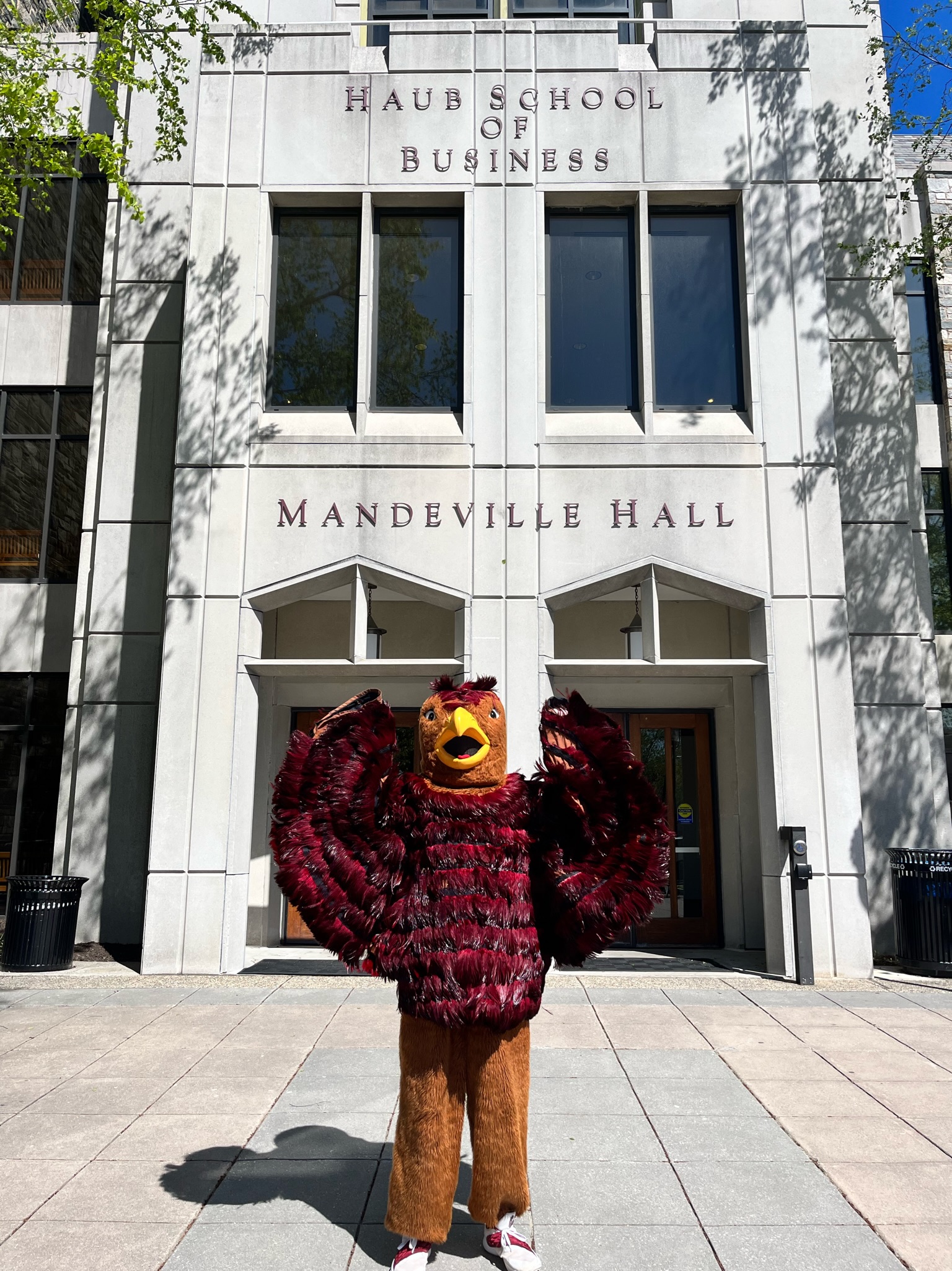 Hawk mascot at Mandeville Hall