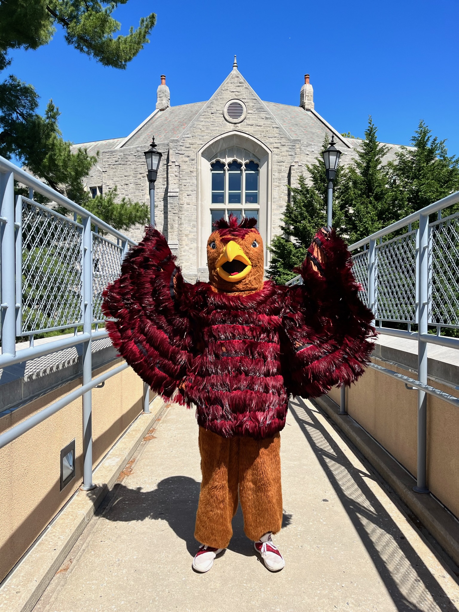 Hawk mascot on McShain Bridge