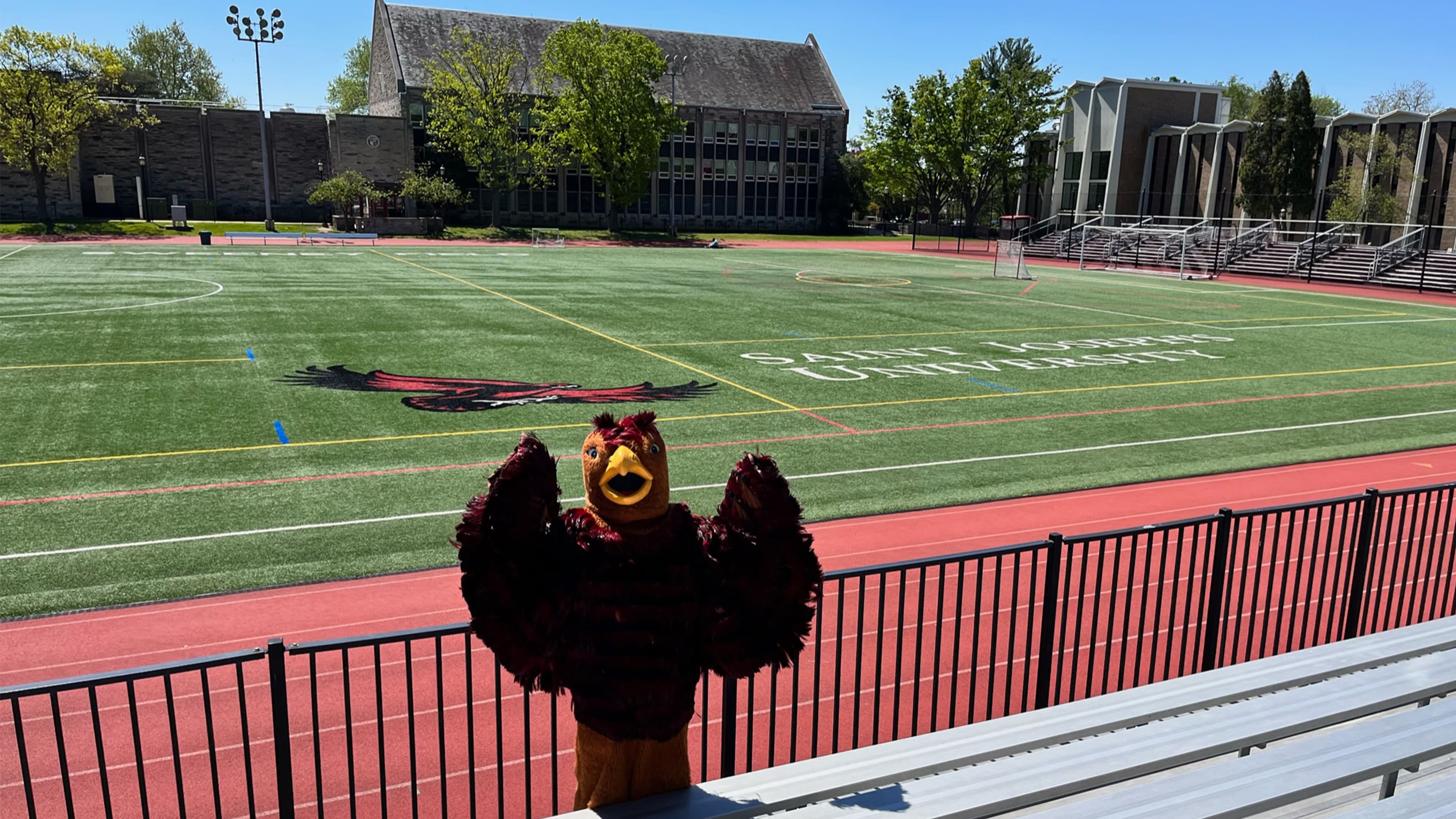 Hawk mascot at Sweeney Field