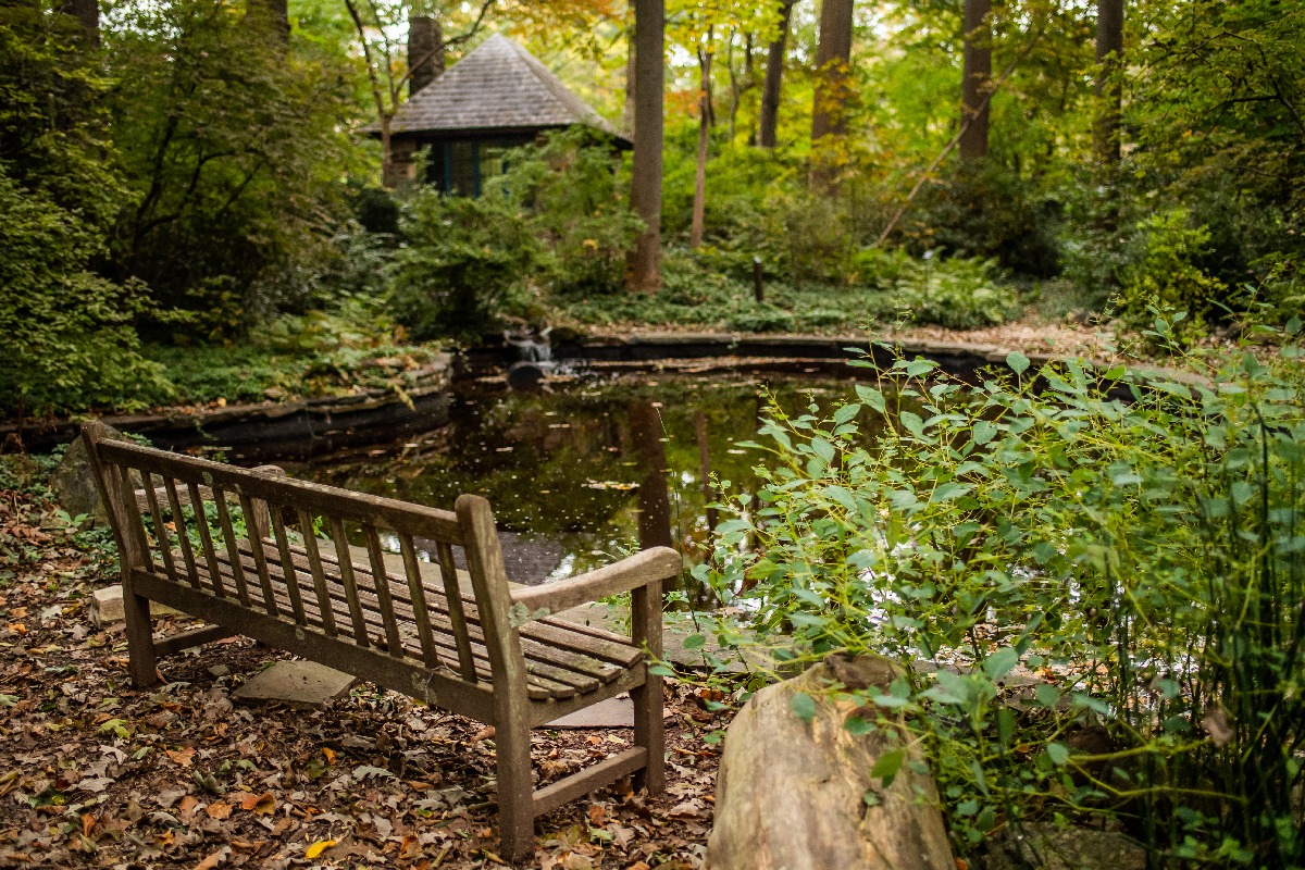 A bench overlooking a pond.