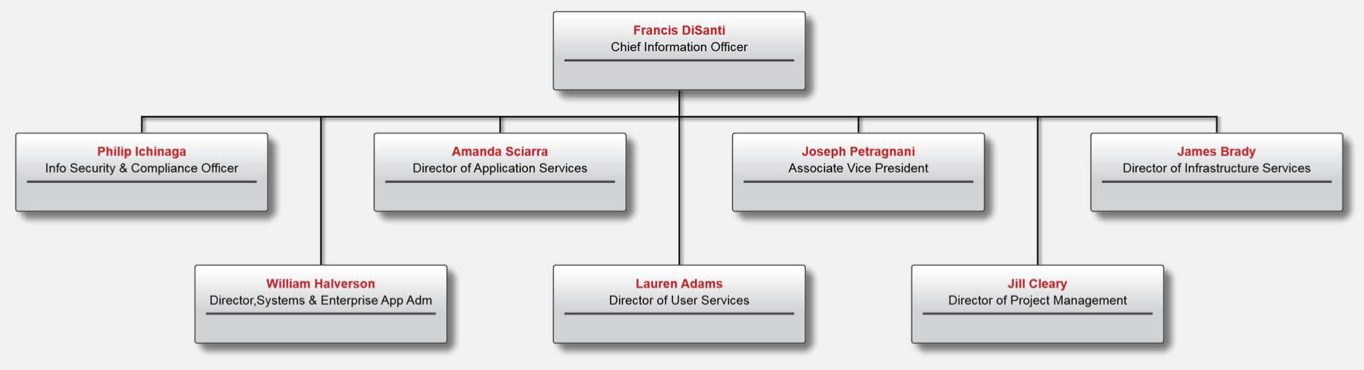 Organization Chart for Information Technology