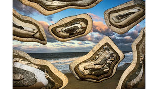 IMG_6732-2_3200x1600.jpg