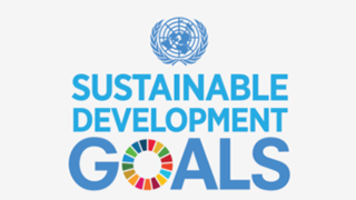 269px-UN_SDG_Logo.png
