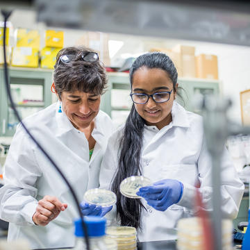 professor and student doing lab work at saint joseph's university
