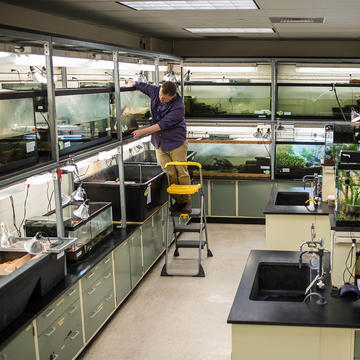 biodiversity lab, a room full of tanks