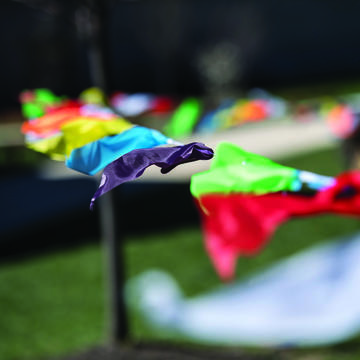 holi flags