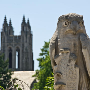 The hawk statue with barbelin tower behind it