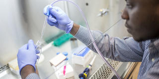 Eric Adjei-Danquah '17 in the lab