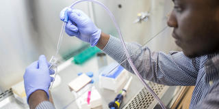 Institute of Clinical Bioethics at Saint Joseph's University