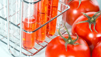A collection of test tubes filled with red liquid are next to a bunch of tomoatoes.