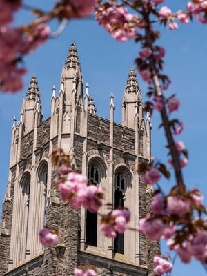 default image of Saint Joseph's University campus.