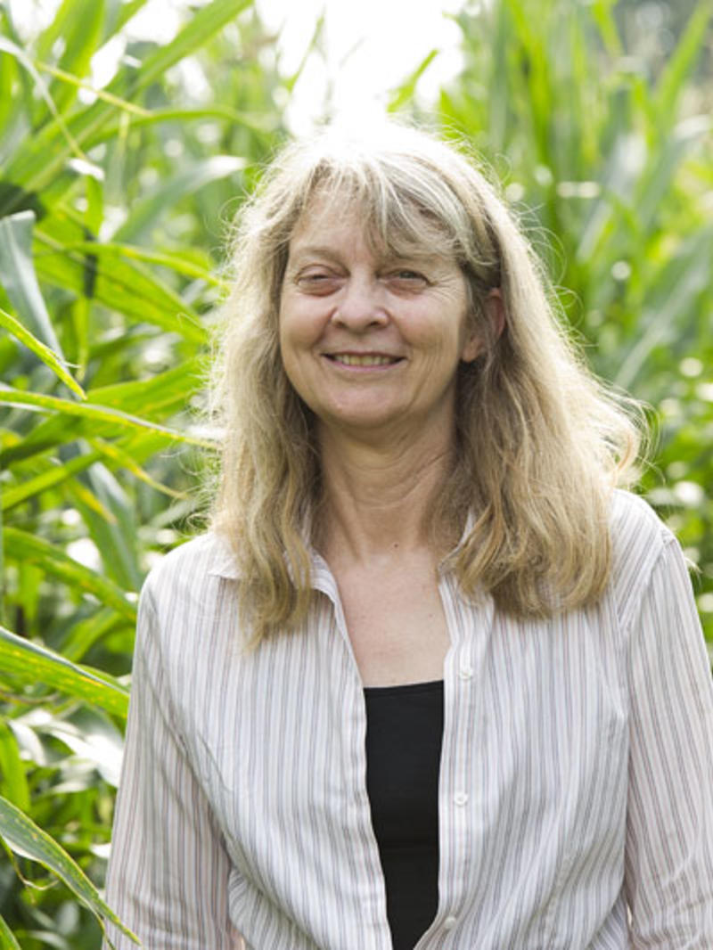 Karen Snetselaar