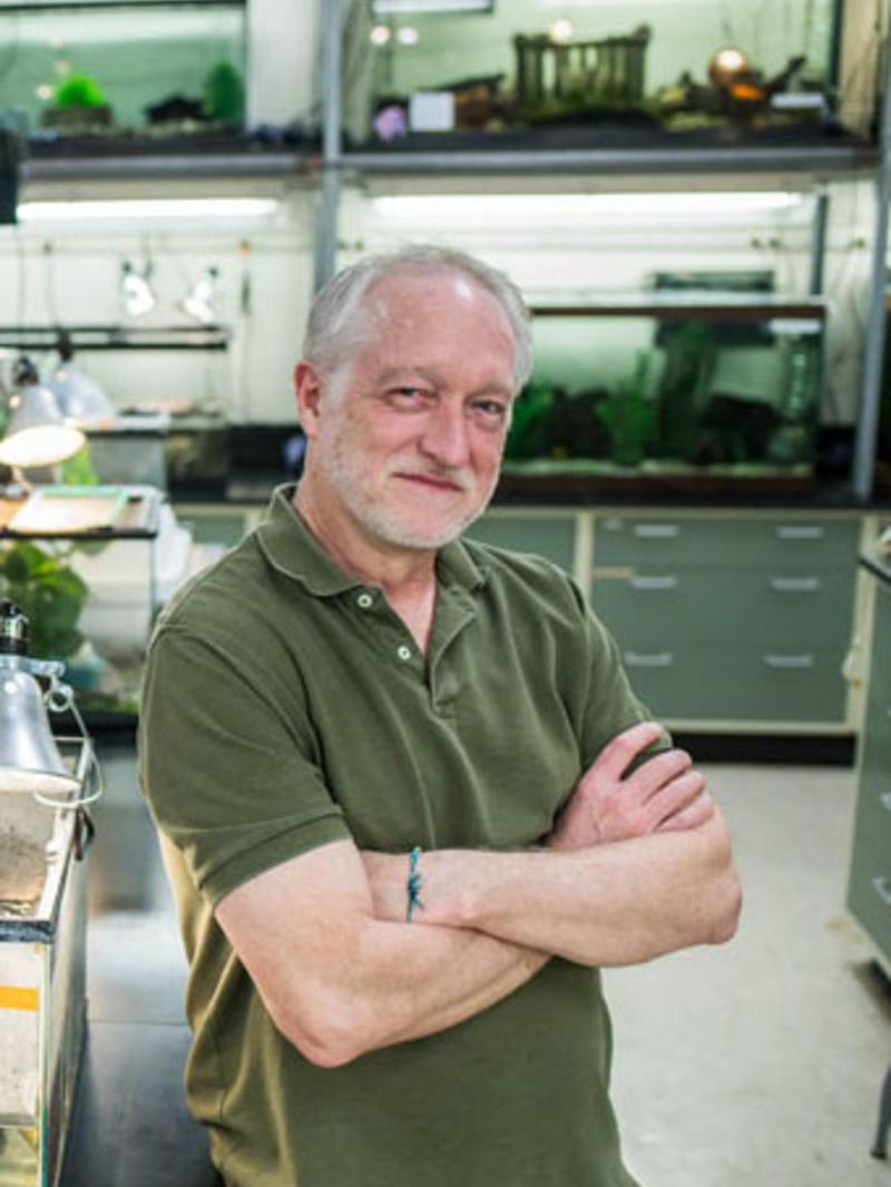 Scott McRobert Ph.D.