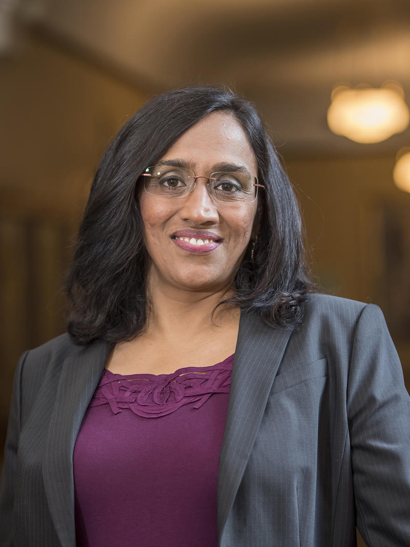 Shaily Menon, Ph.D. Dean, College of Arts and Sciences