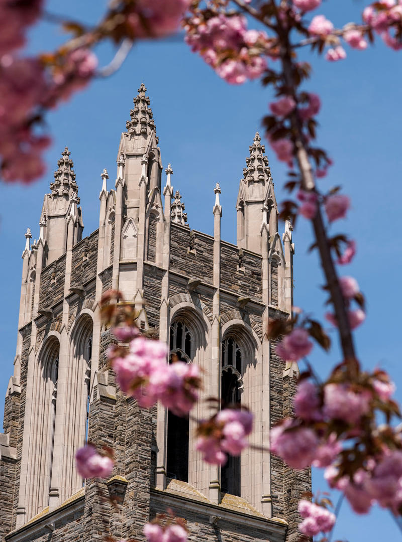 default image of Saint Joseph's University campus.