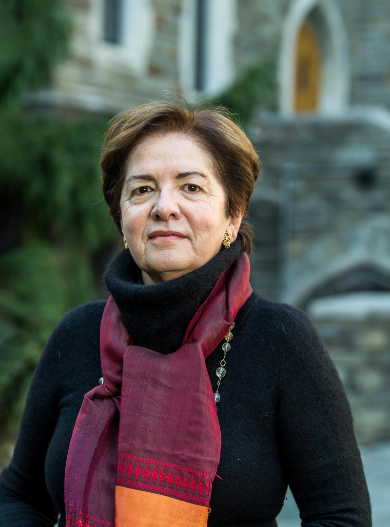 Paola Giuli, Ph.D.